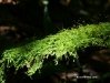 diegodeocampo - 07